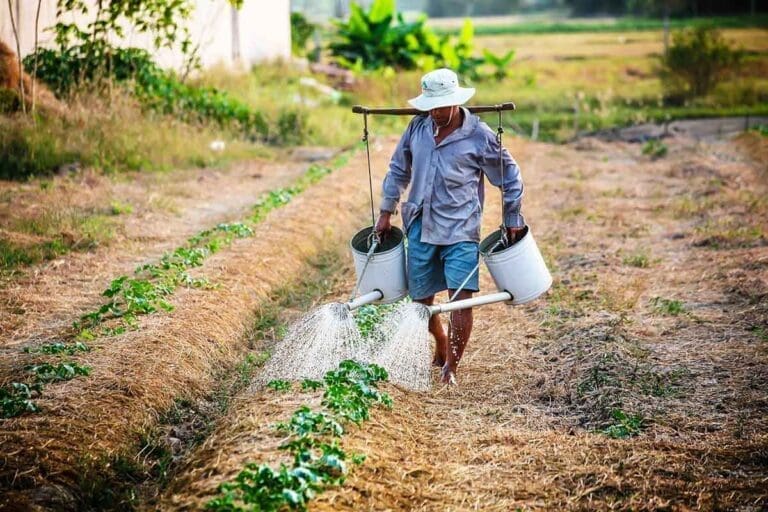 FNPT, l’agriculture au Togo va basculer dans une dynamique de marché