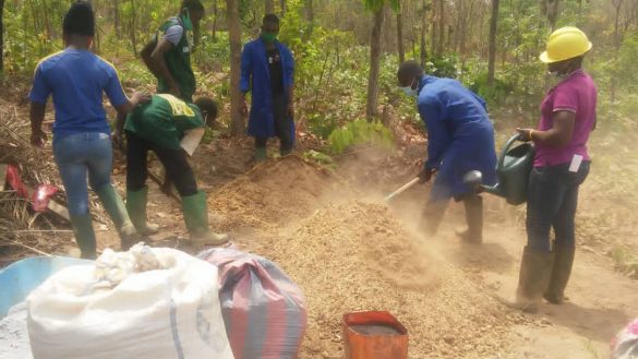 Doit On Composter Un E Billet Agriculture : comment faire le compostage en tas ? - Le Nouveau Reporter